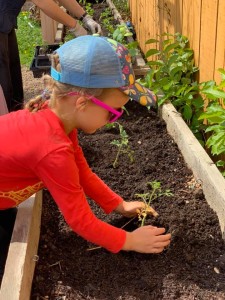 60214395_2496879050346183_2352307017688809472_n