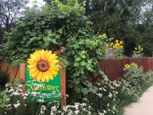 67404389_2639613756072711_727815202245967872_n