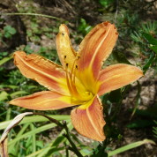 April Snow Showers…..Bring May Snow Showers?